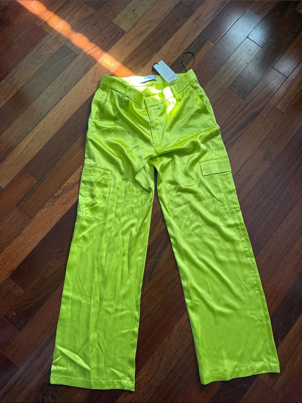 NWT 100% Silk Pants